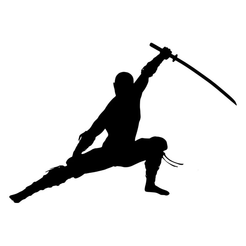 Ninja