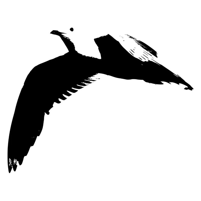 Möwe