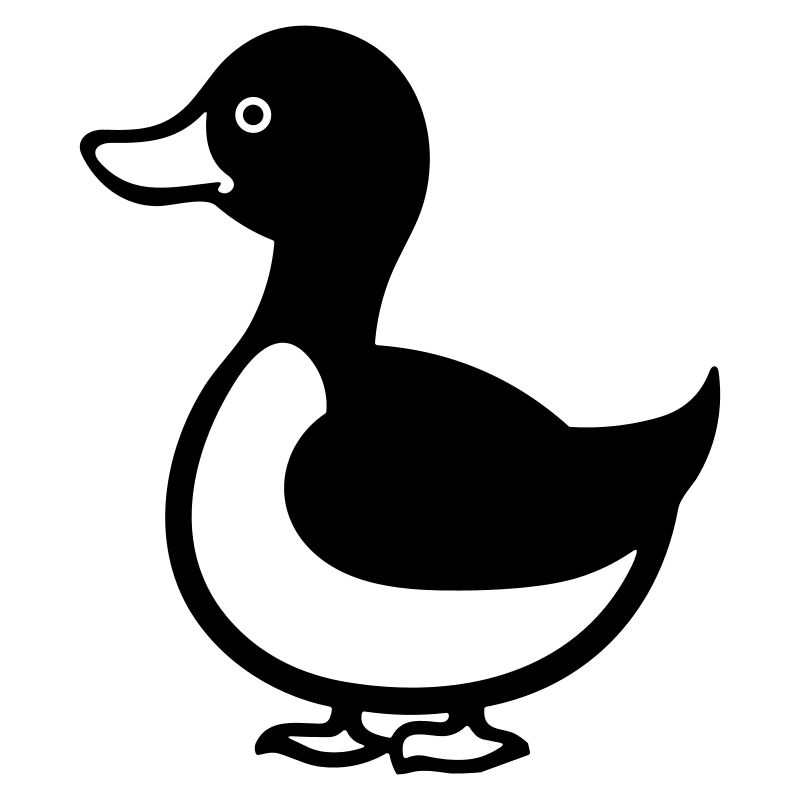 canard