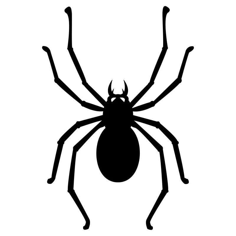 spider