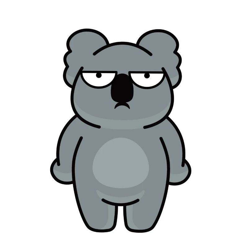 Miś koala