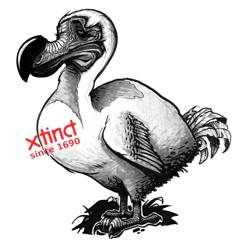 Dodo