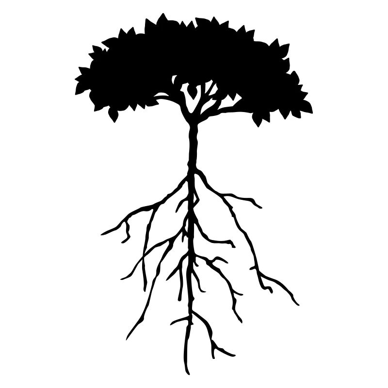 root tree