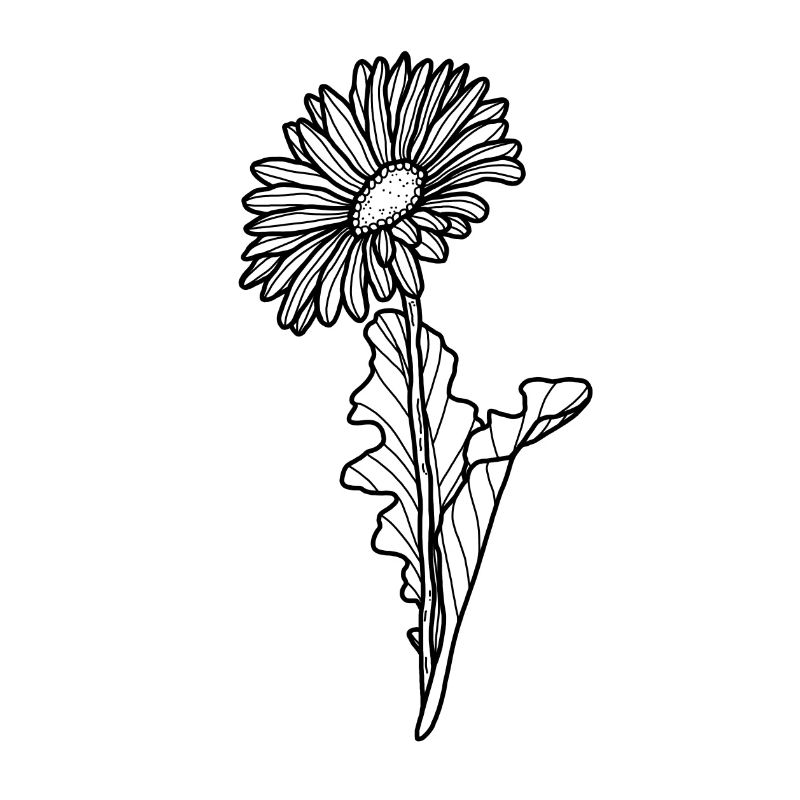 Fleur Gerbera