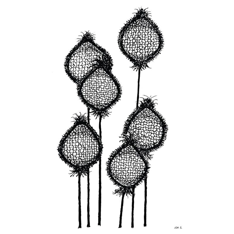 Mohnknospen oder Ananas am Stiel? Schwarz abstrakt
