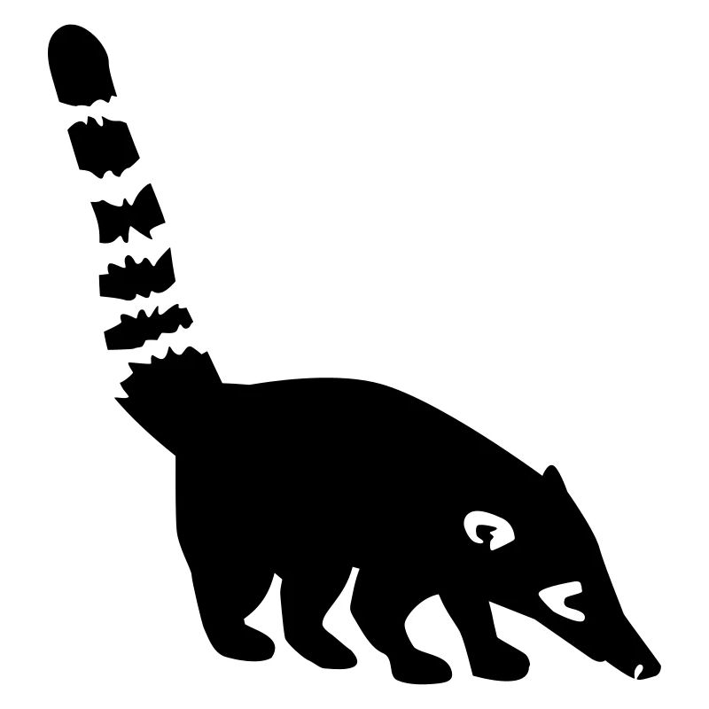 Coati