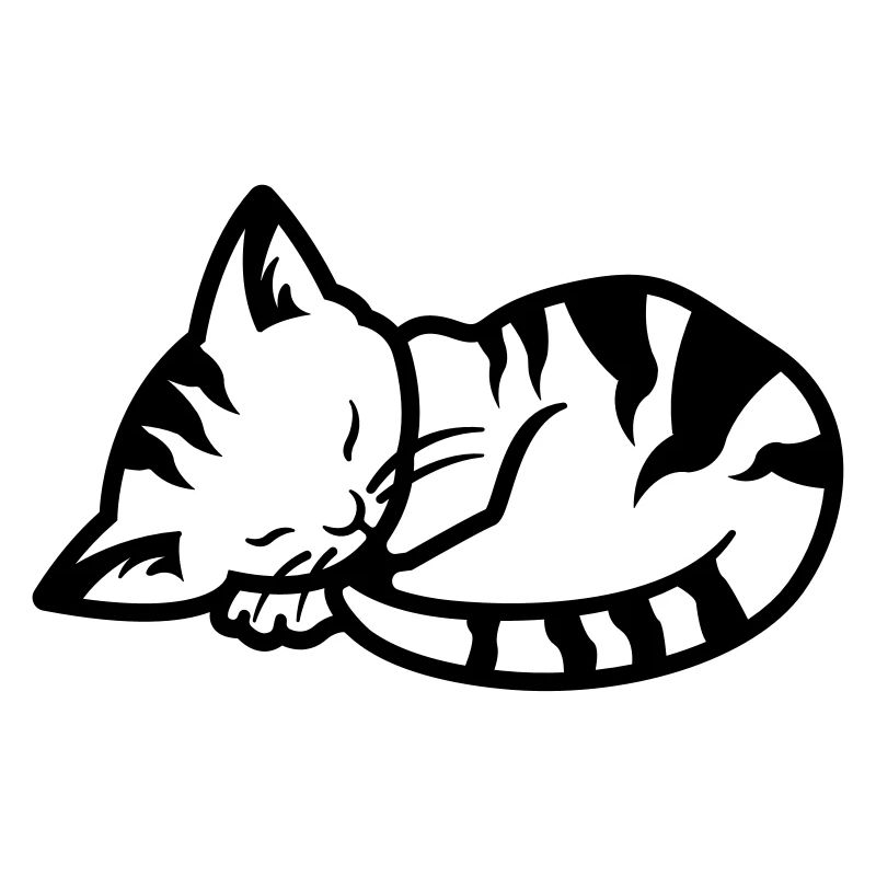 Katze