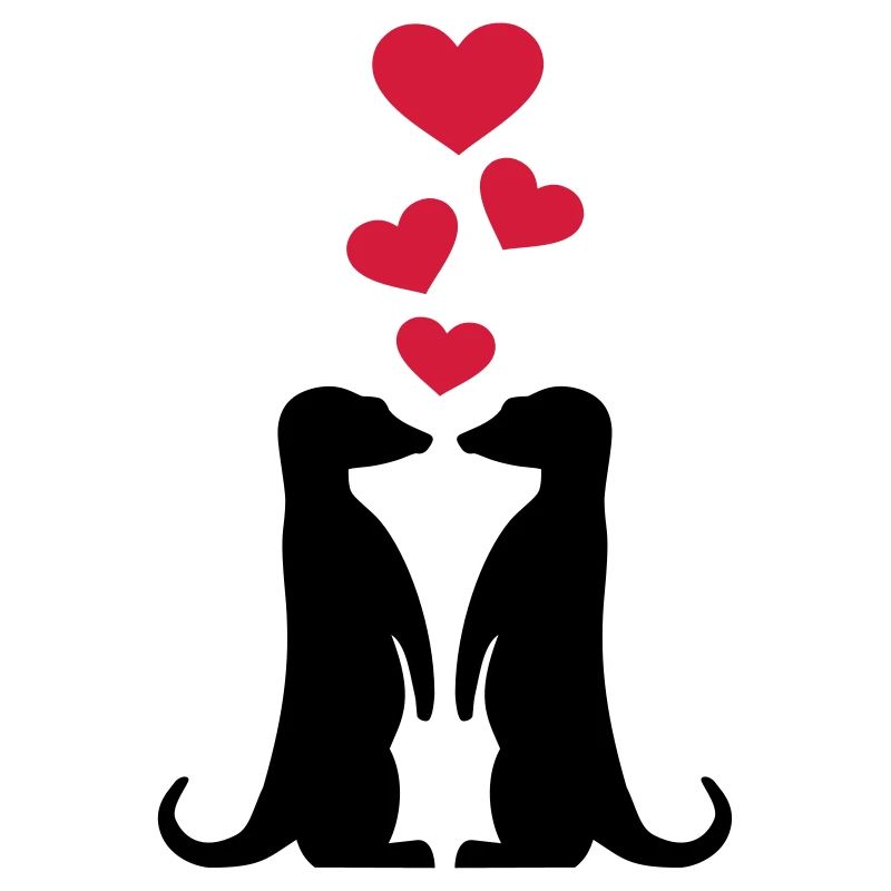 Erdmännchen