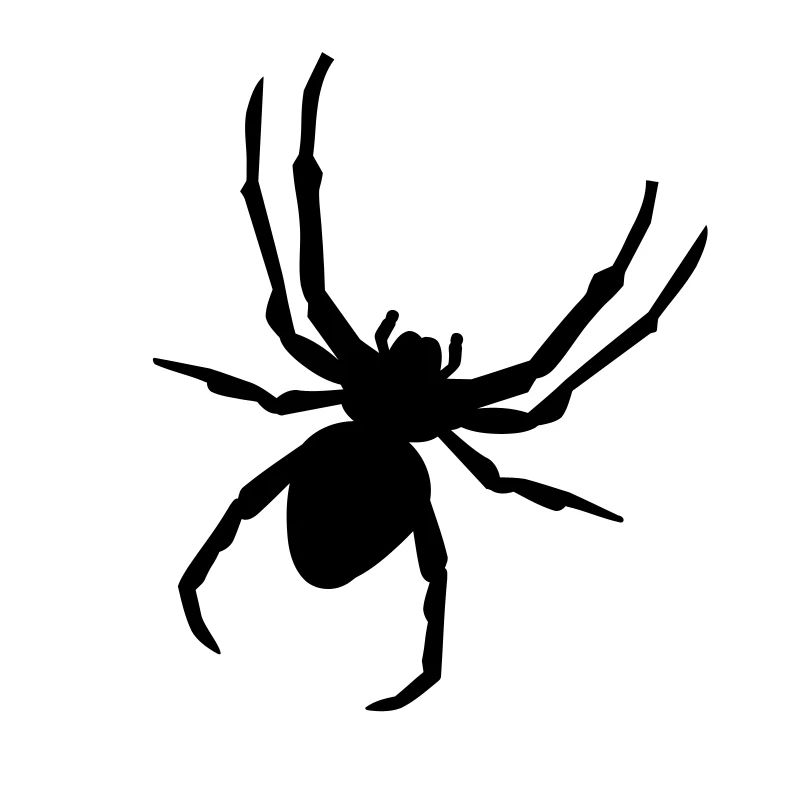 Spinne