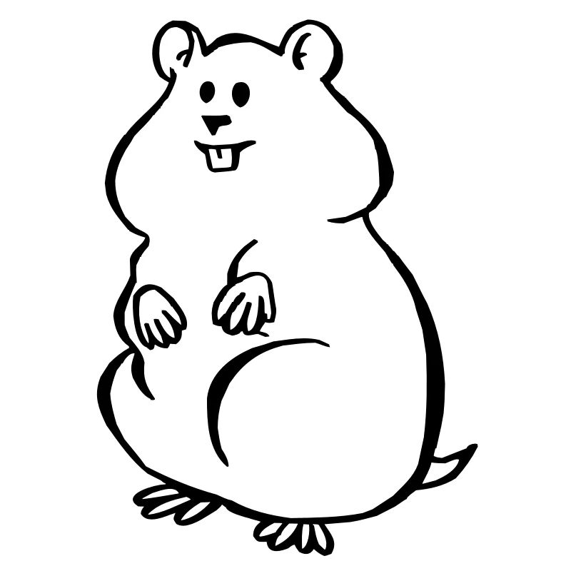 hamsters