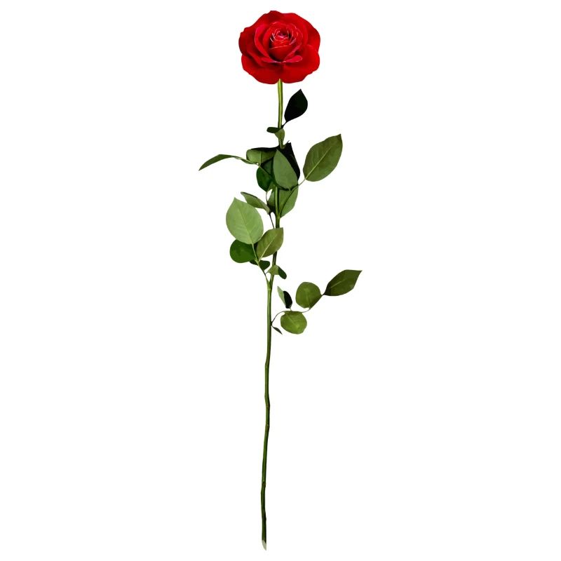 Rose mit Stiel