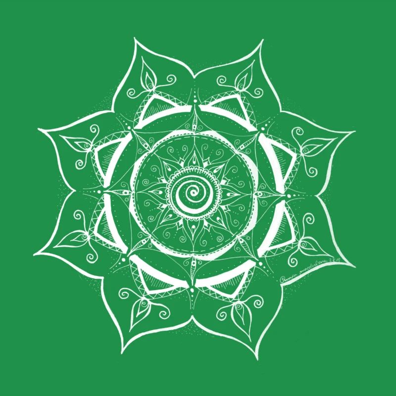 Conception de toile d’araignée Mandala