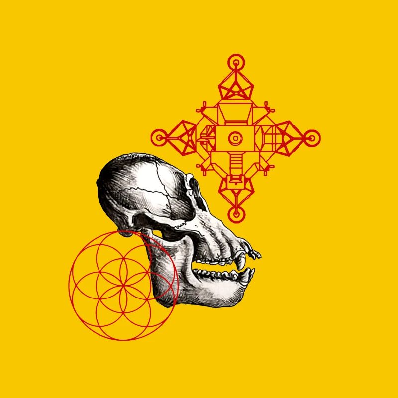 lunar australpithecus