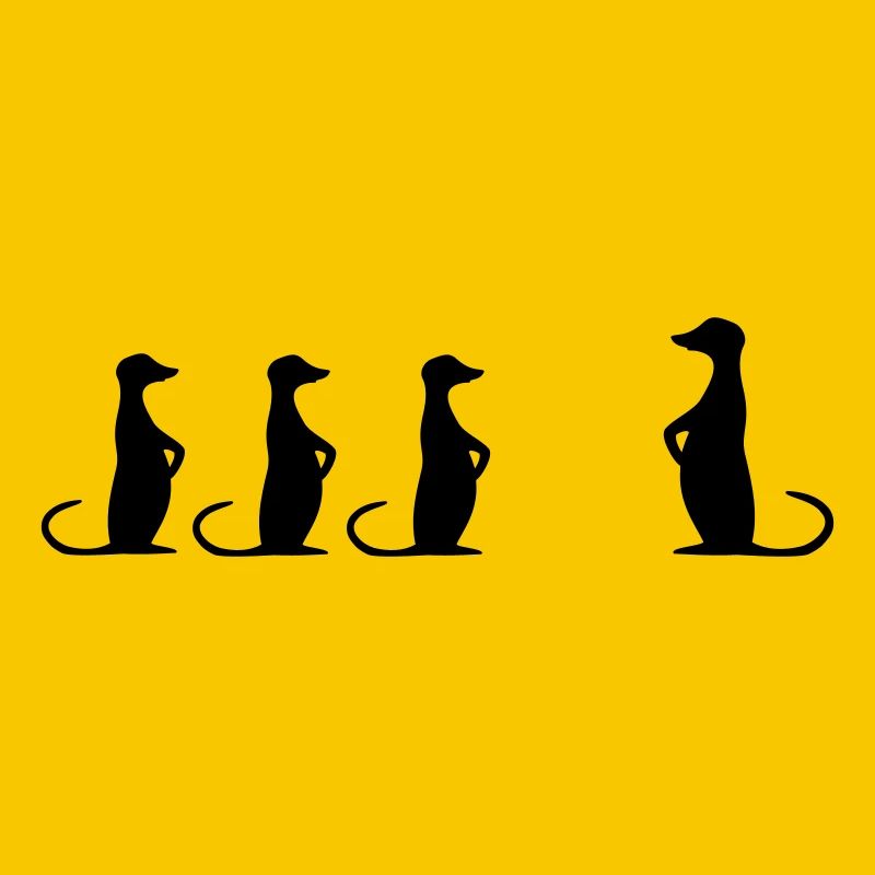 suricate