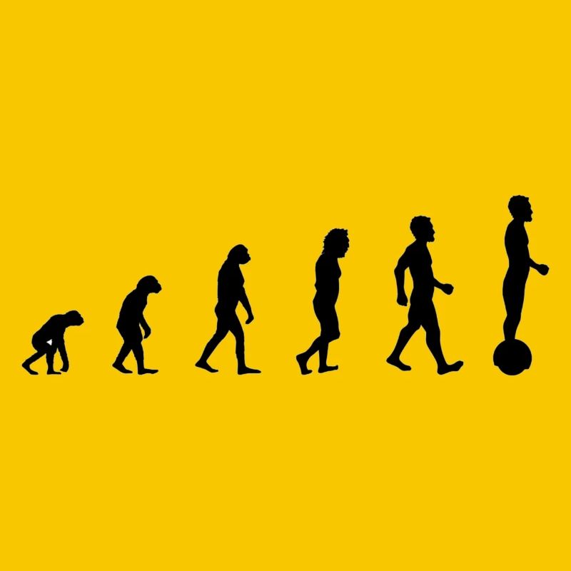 Gyrowheel evolution