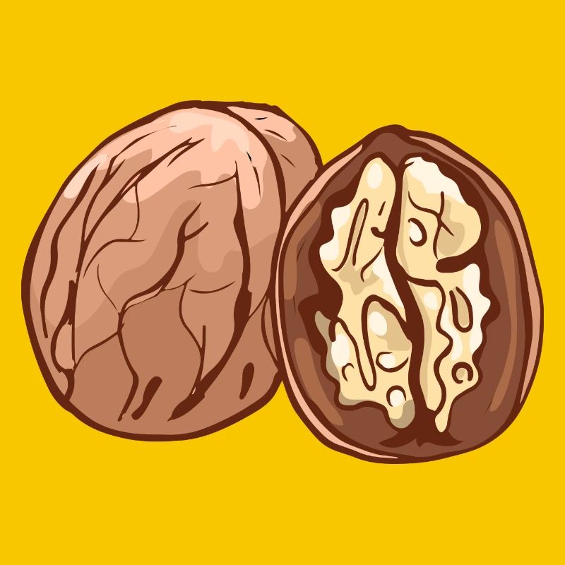 Real walnut nuts nut walnutwalnuts