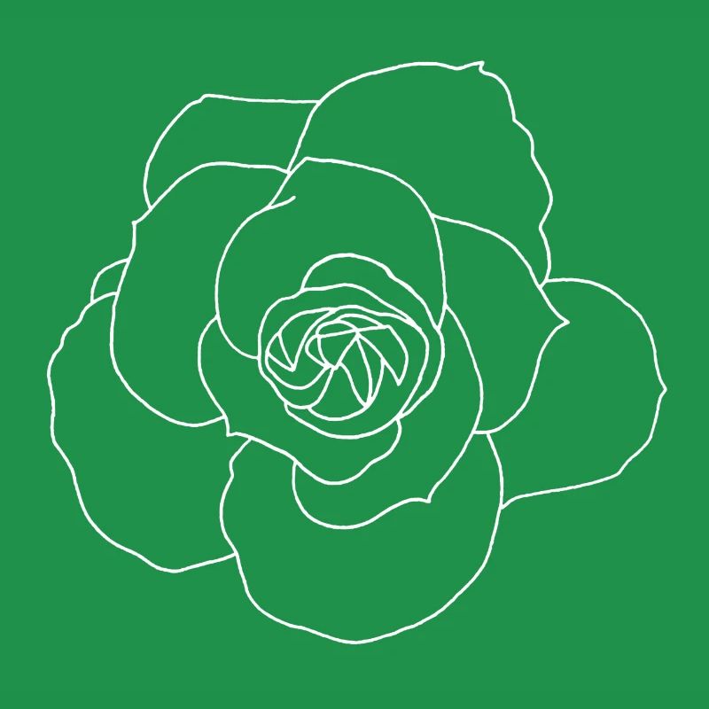 White rose