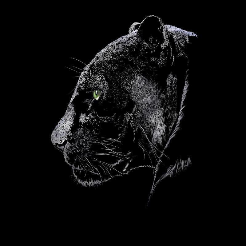 Panther