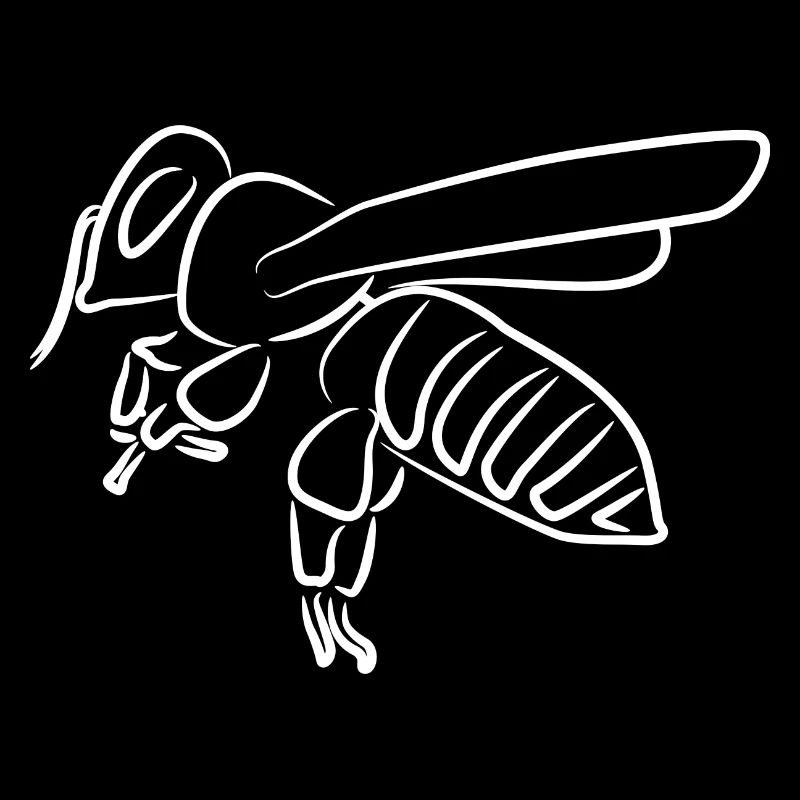 Honey Bee Drawing