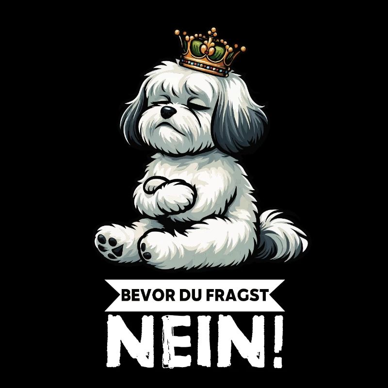 Before you ask No Havanese Havanese owners