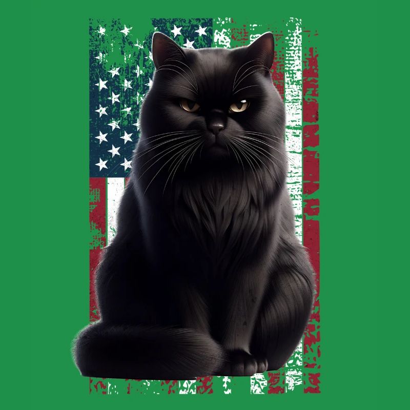 Grumpy Black Cat US Schwarze Katze
