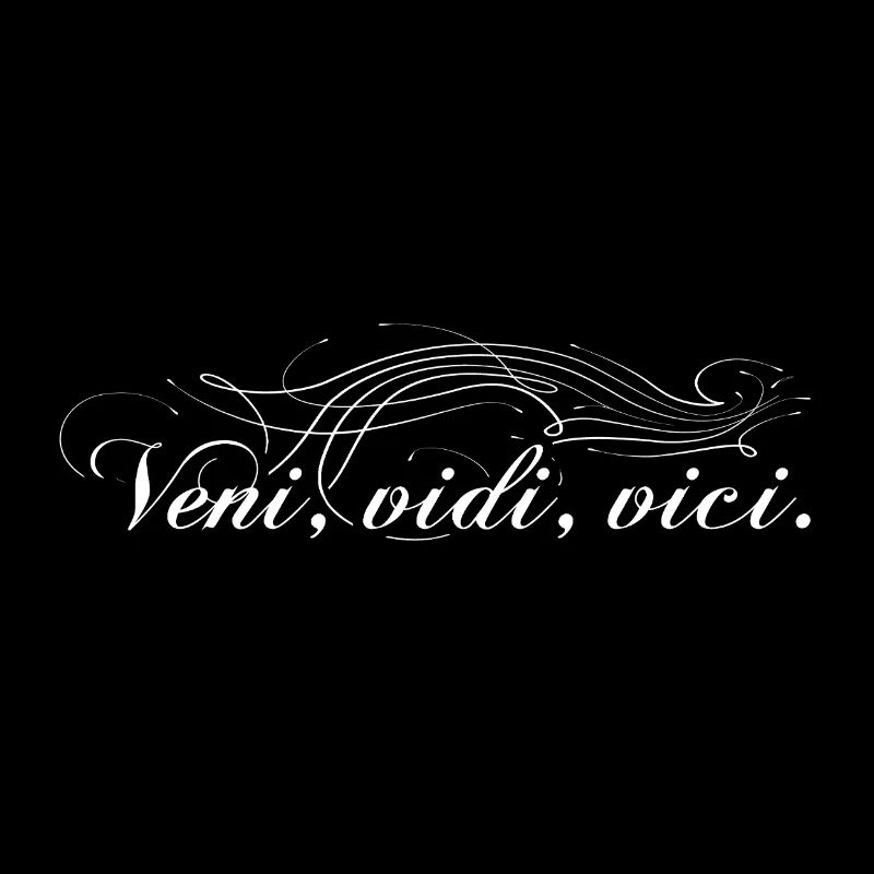 Veni vidi vici