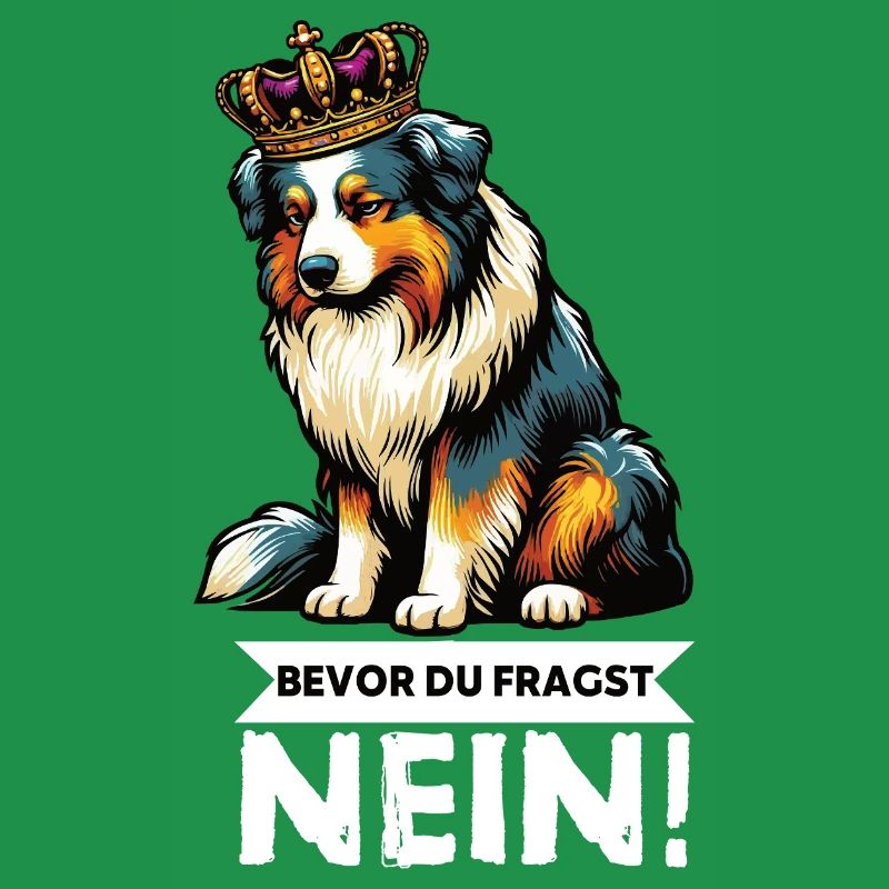Bevor Du Fragst Australian Shepherd Aussie Aussie