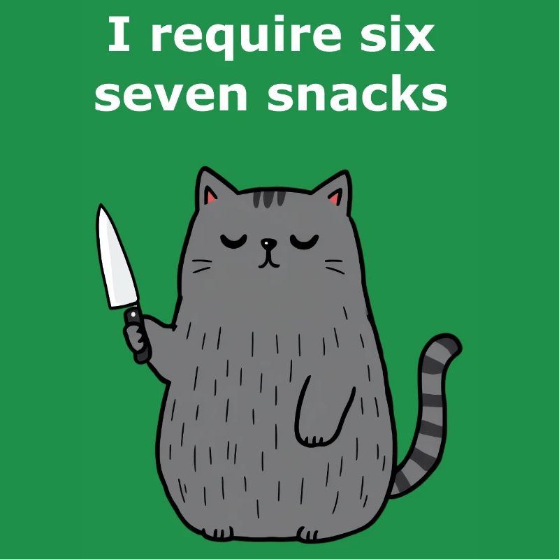 6-7 Internet Meme 6 7 Snack Katze