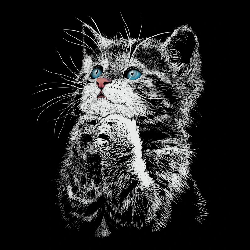 cat