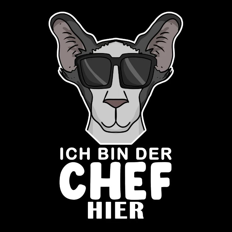 Chef Spruch Anführer Hund