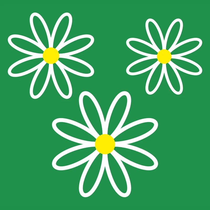 Gänseblümchen Blume