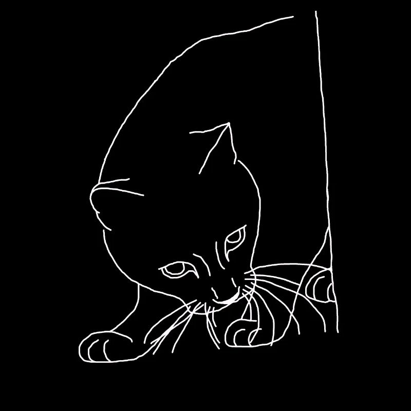 Katze