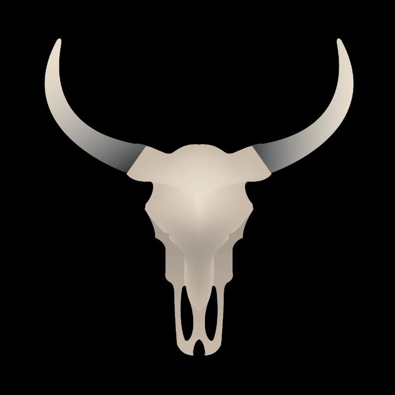 Crâne de buffle