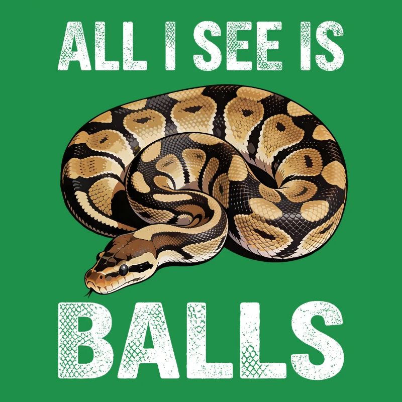 Python roi Serpents Amateurs de terrarium Python