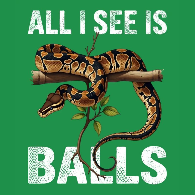 Python roi Serpents Amateurs de terrarium Python