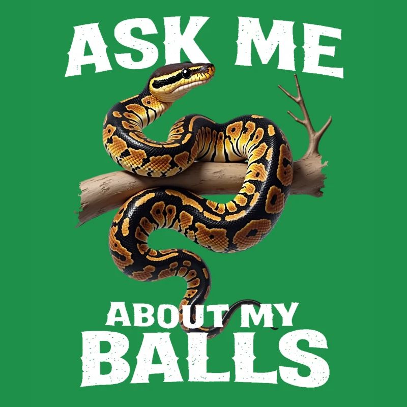 Python roi Serpents Amateurs de terrarium Python