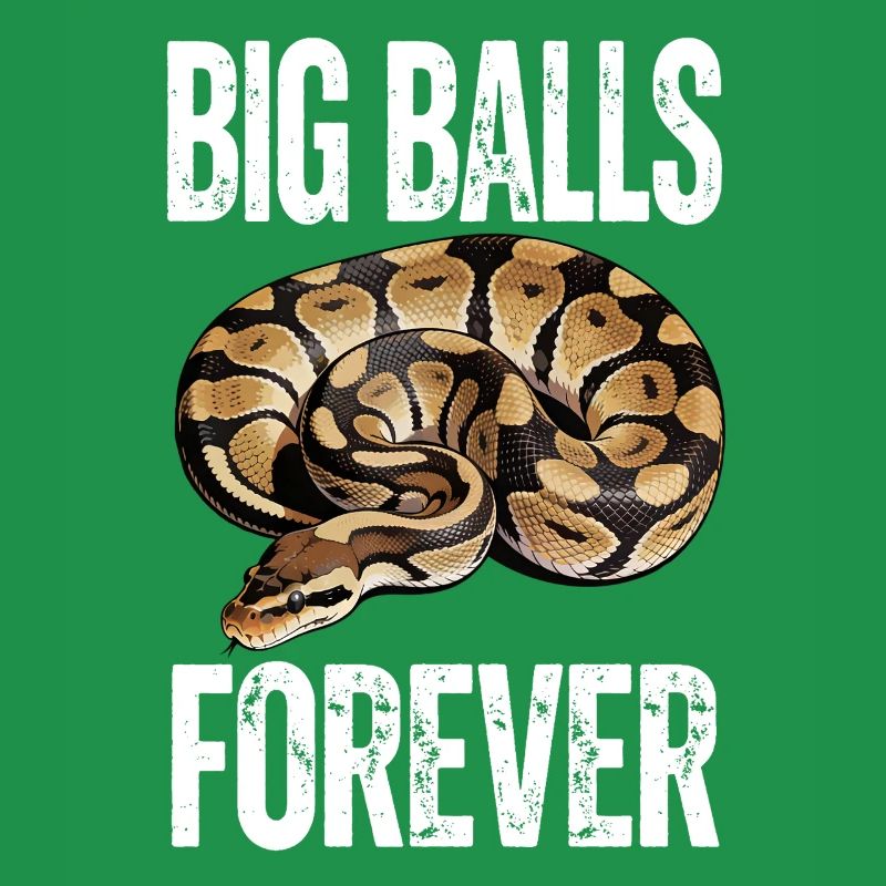 Python roi Serpents Amateurs de terrarium Python