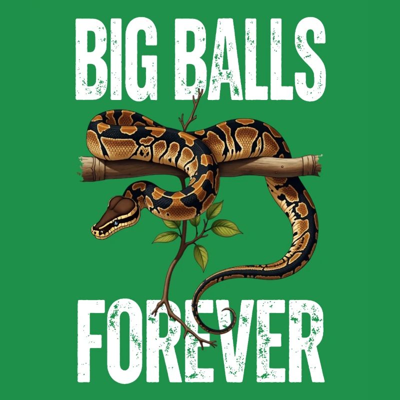 Python roi Serpents Amateurs de terrarium Python