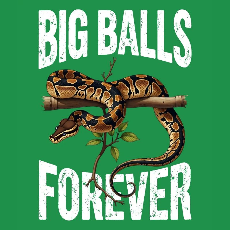 Python roi Serpents Amateurs de terrarium Python