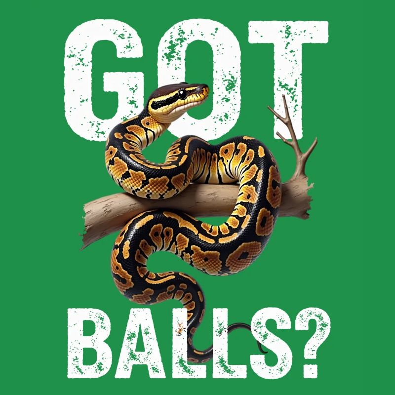 Python roi Serpents Amateurs de terrarium Python