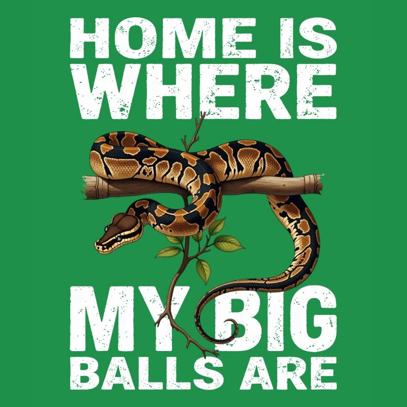 Python roi Serpents Amateurs de terrarium Python