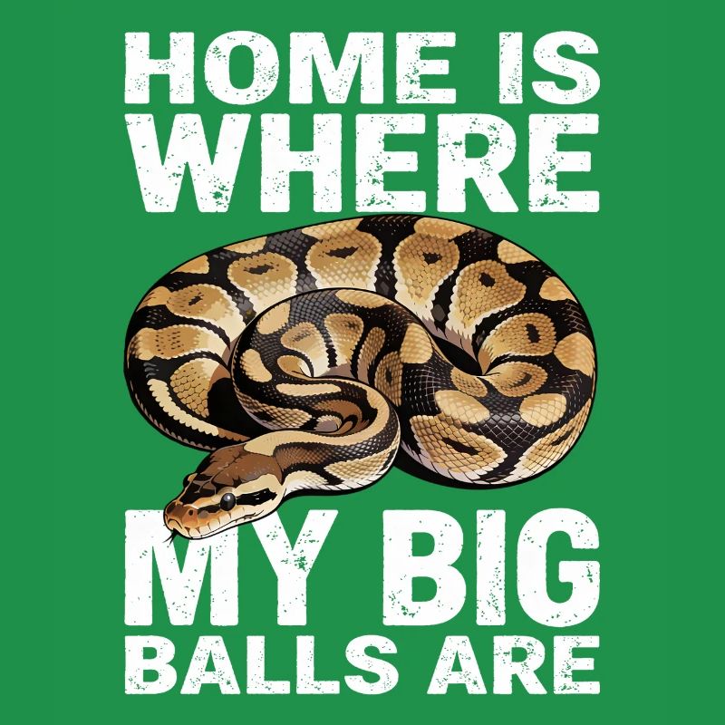 Python roi Serpents Amateurs de terrarium Python