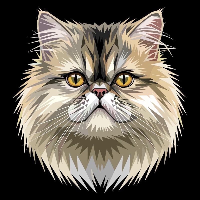 Chat perse Chat persan Chat persan Chat perse Chats mignons