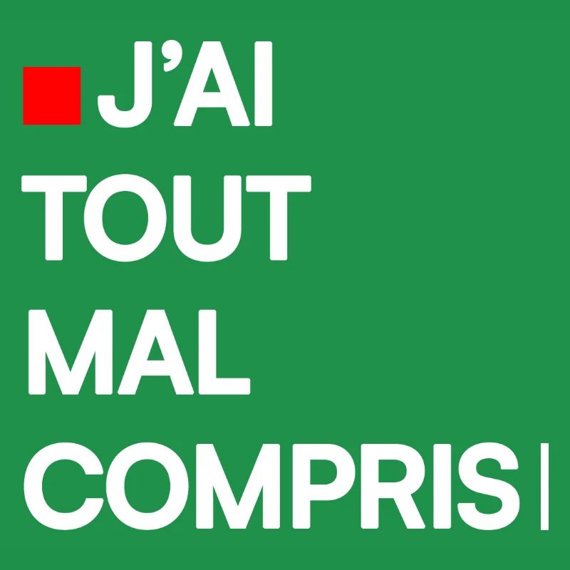 J’AI TOUT MAL COMPRIS | Humour autodérision