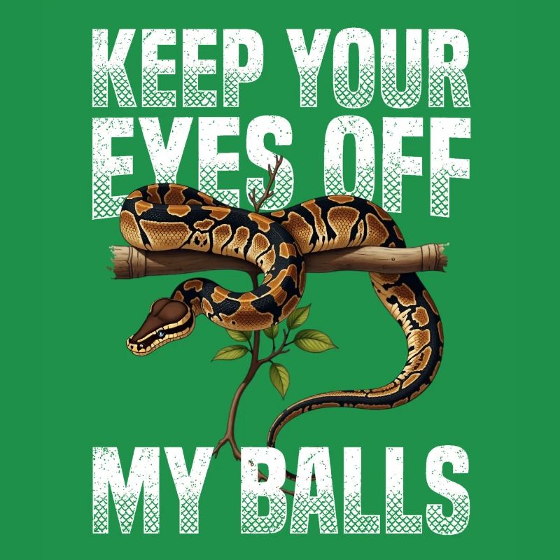 Königspython Schlangen Liebhaber Terrarium Python