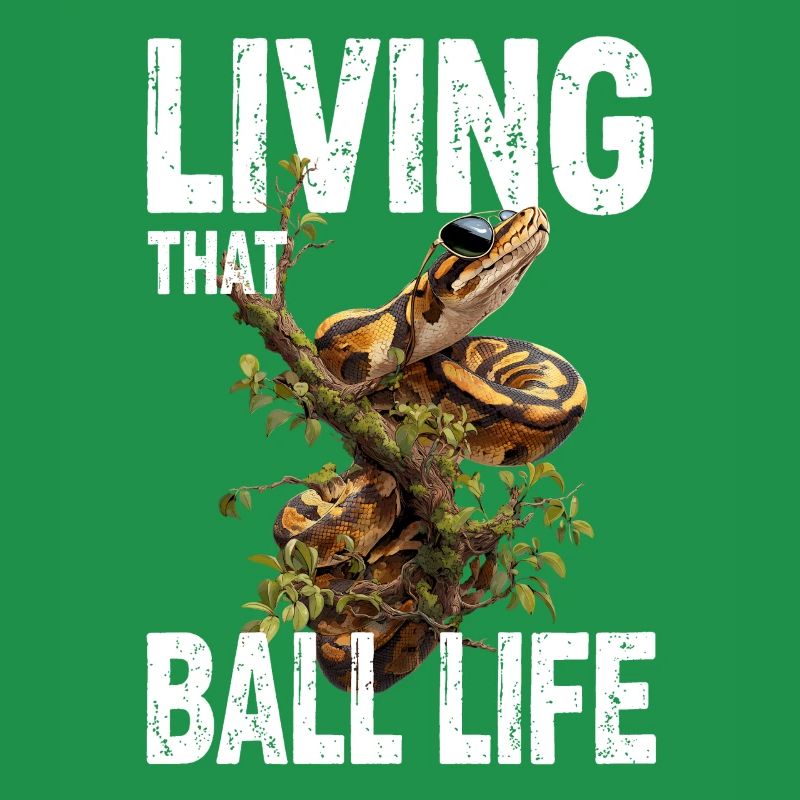 Königspython Schlangen Liebhaber Terrarium Python