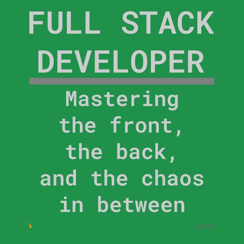 Full Stack Develo: Front, Back und Chaos
