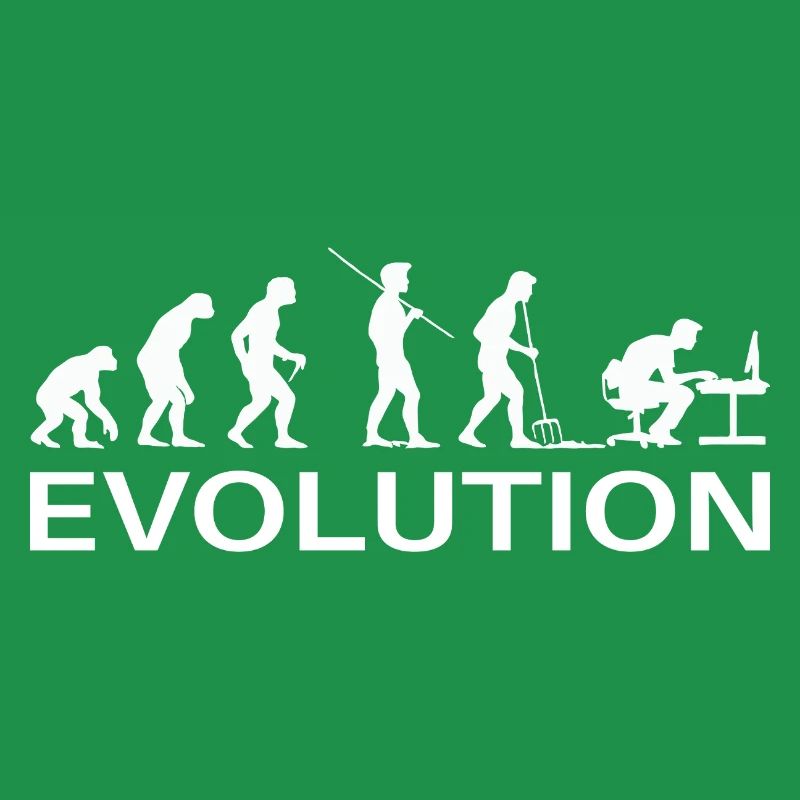 Programmeur Évolution Informaticien Développeur