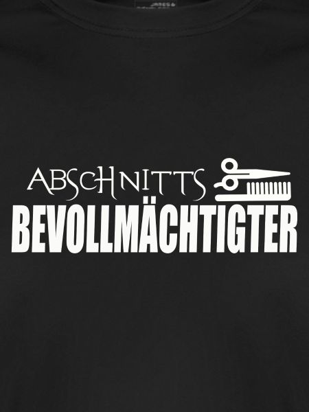 ABSCHNITTSBEVOLLMÄCHTIGTER