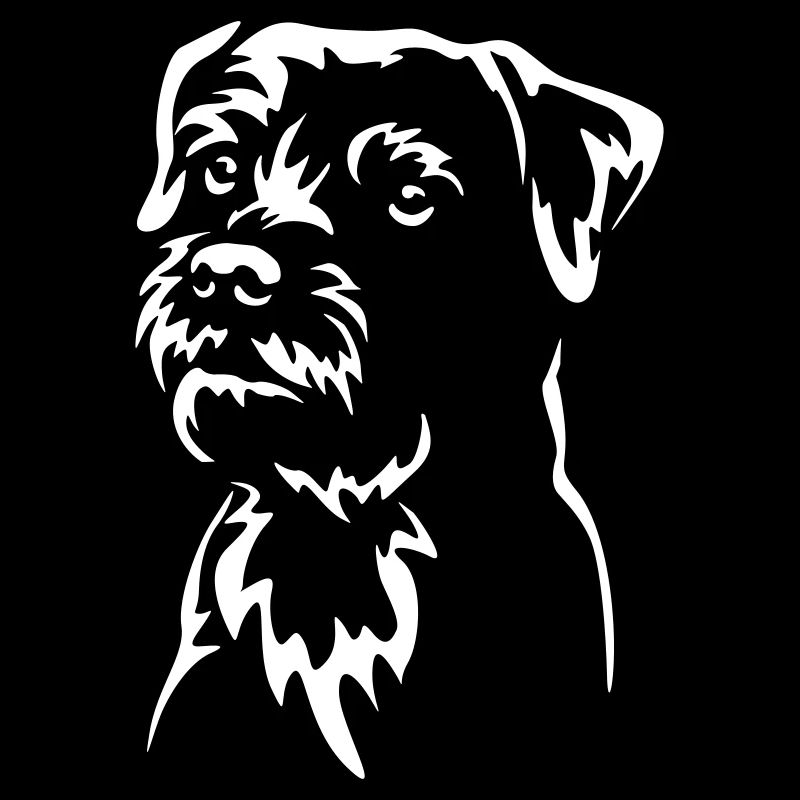 Border Terrier Head « Black Edition »